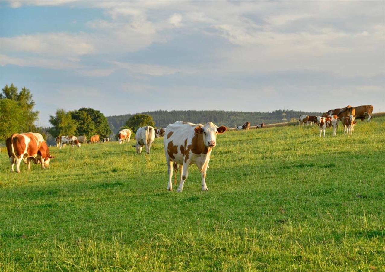 Ferienhof Kuerschner Drebach Екстериор снимка