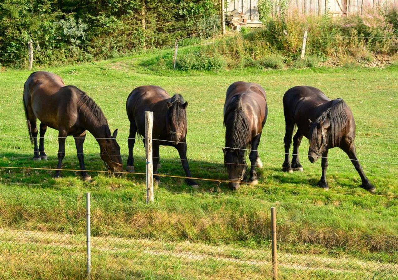 Ferienhof Kuerschner Drebach Екстериор снимка