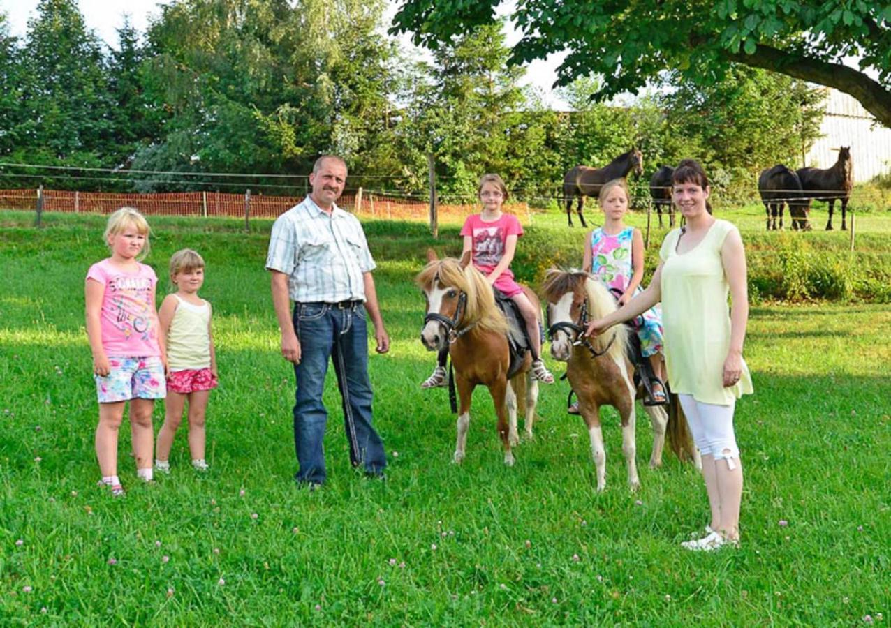 Ferienhof Kuerschner Drebach Екстериор снимка