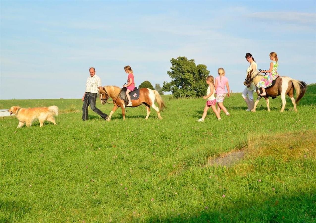 Ferienhof Kuerschner Drebach Екстериор снимка