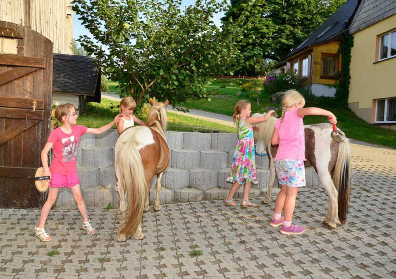 Ferienhof Kuerschner Drebach Екстериор снимка